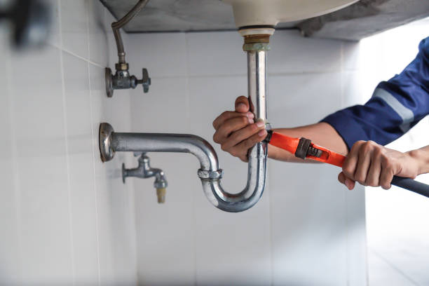 Professional Plumbing Services in Dauphin Island, AL